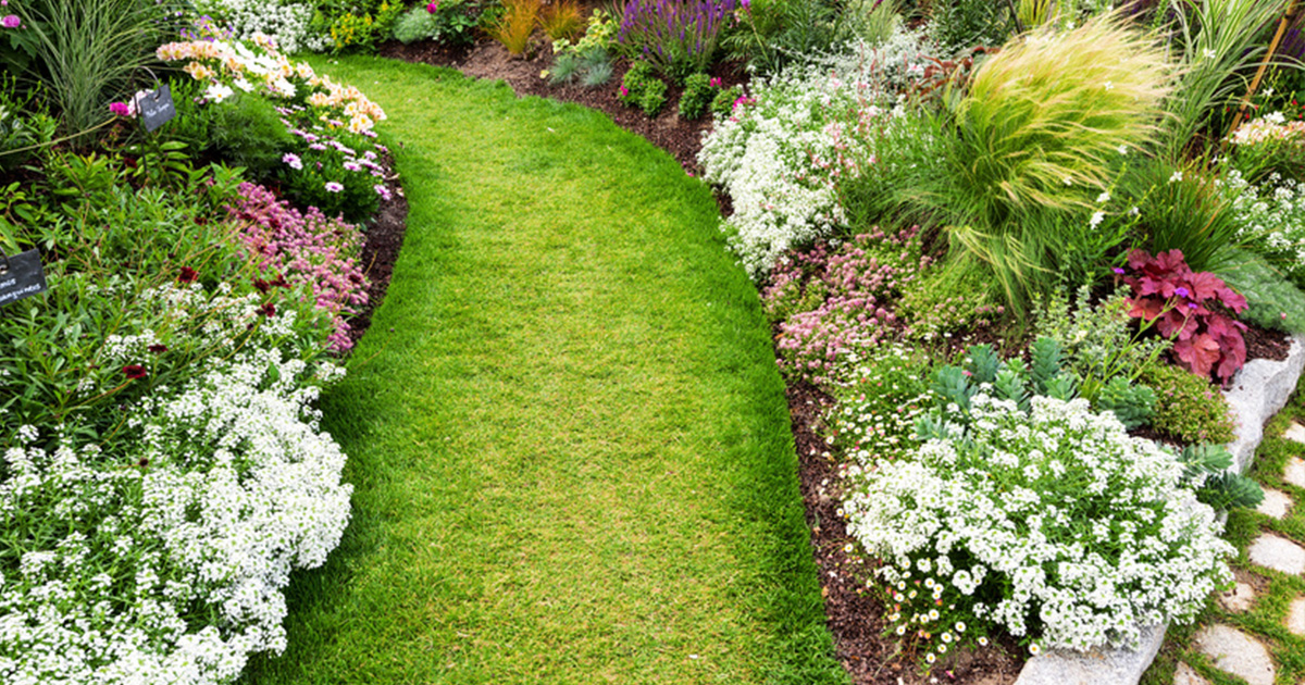 plate bande jardin calcaire