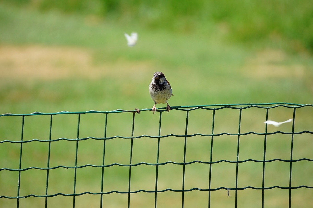 cloture-et-jardin fb