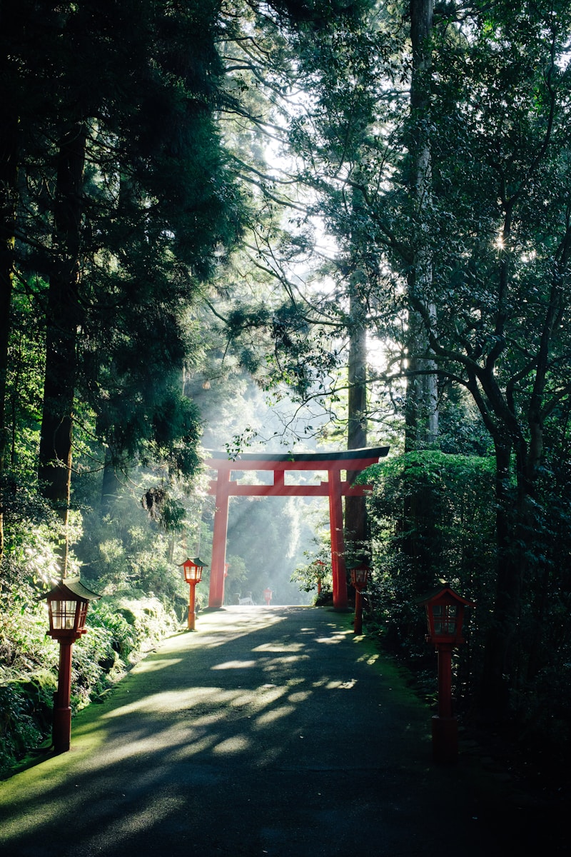 jardin japonais