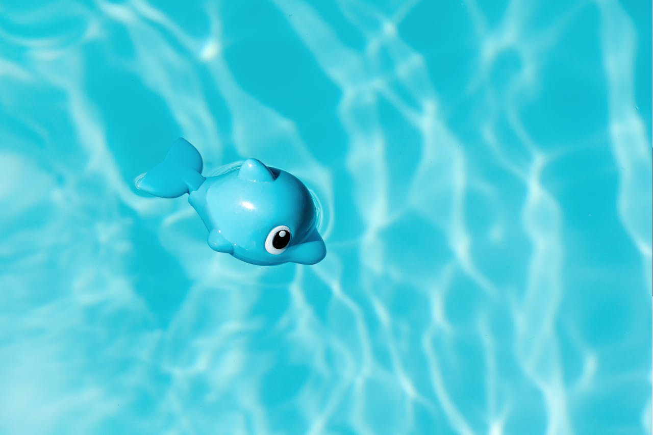 diagnostic piscine faire dans le nord