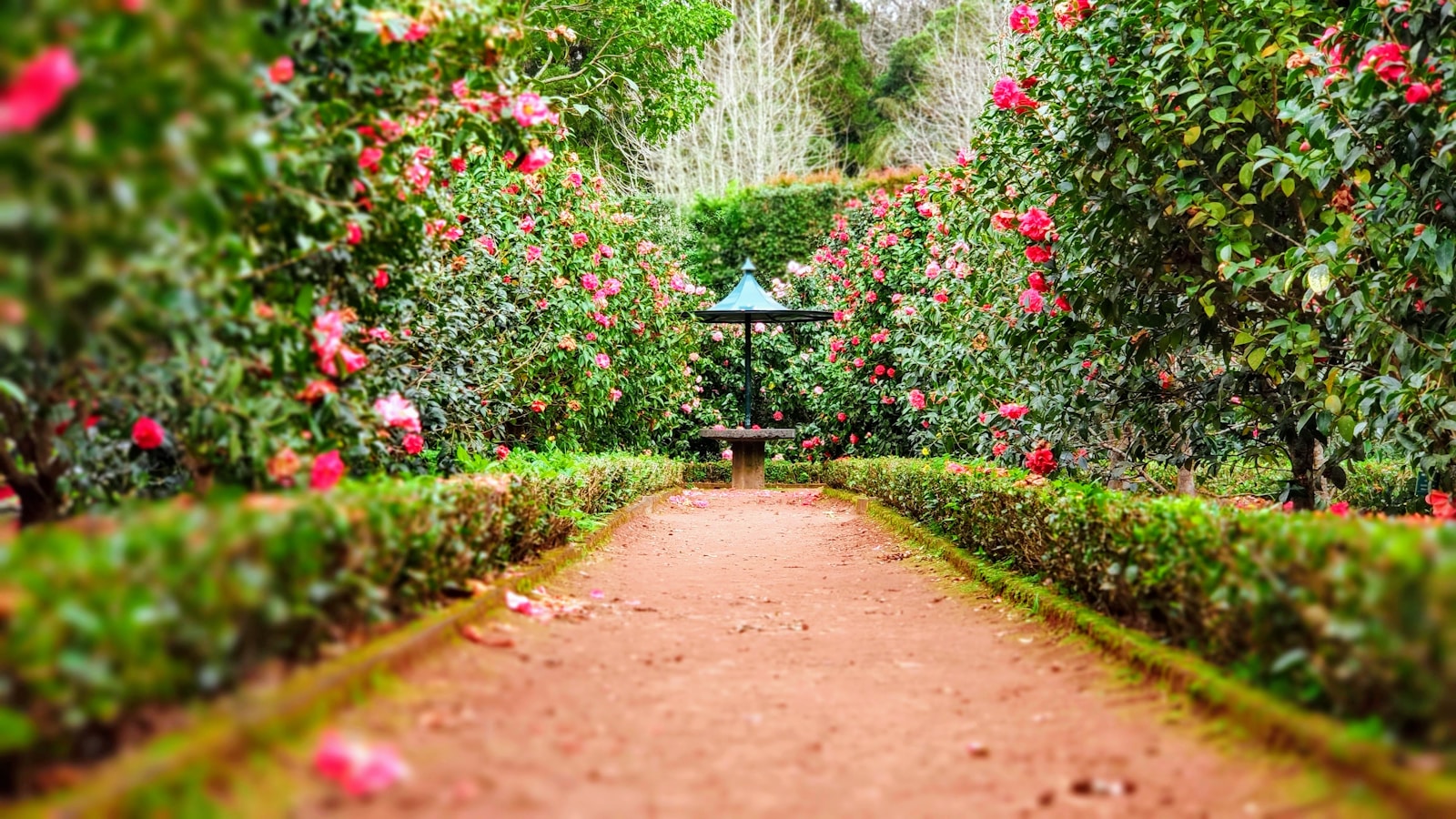 amenagement-jardin-longueur