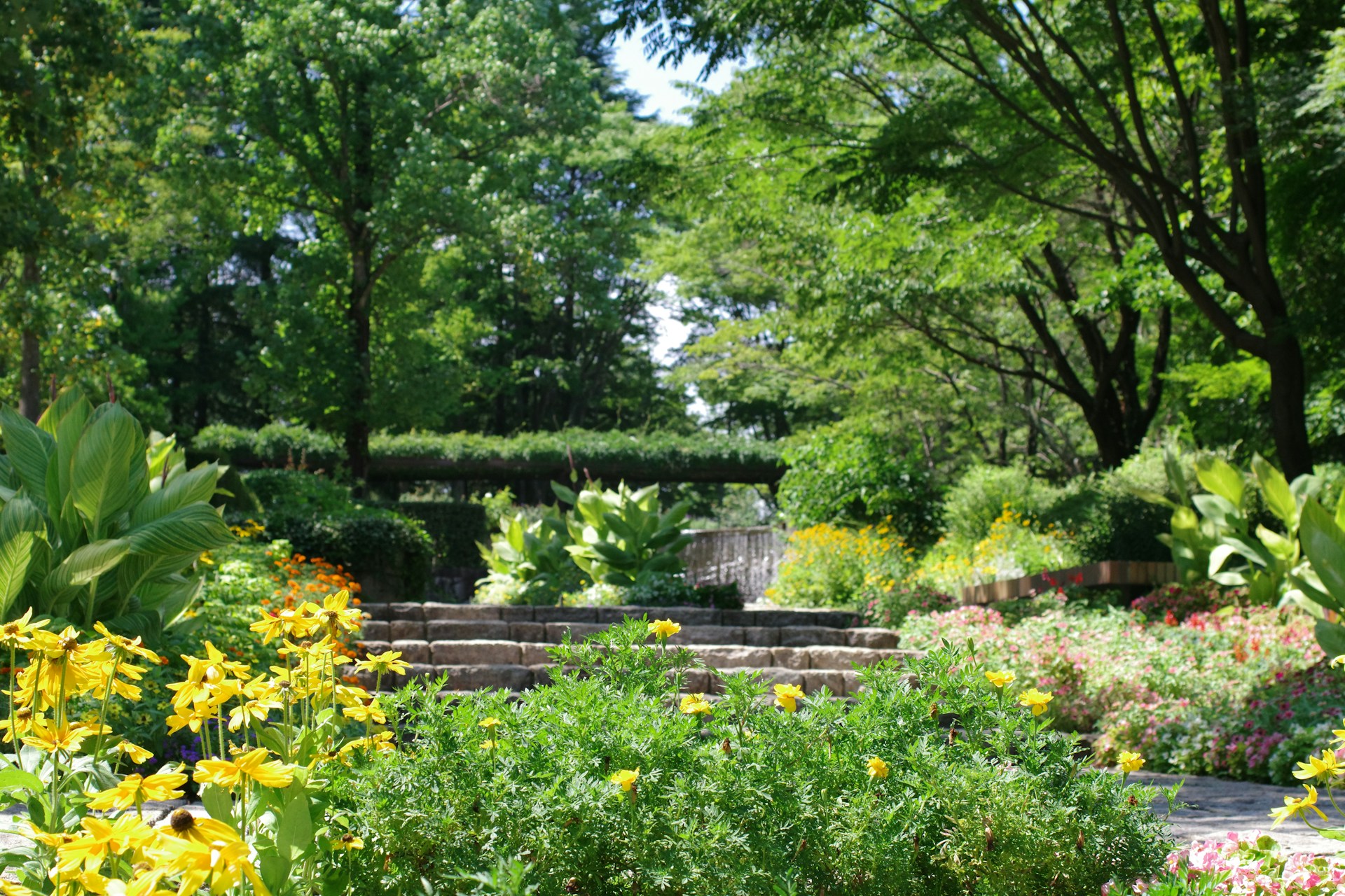 jardin-pente-marches