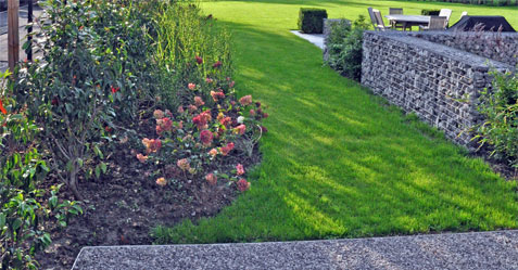 aménagement de jardin avec des bordures modernes