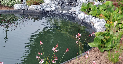 Réalisation d'étang / marre aquatique de jardin