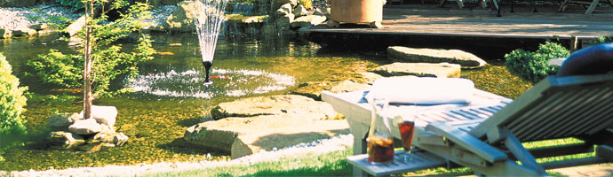 jardin aquatique sur valenciennes