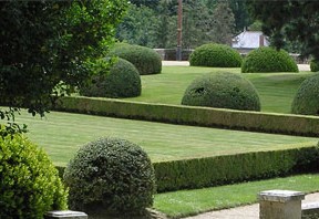 Création d'un jardin français