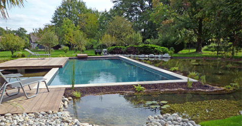 Photo de piscine naturelle bi-eaux alliant piscine et bassin aquatique