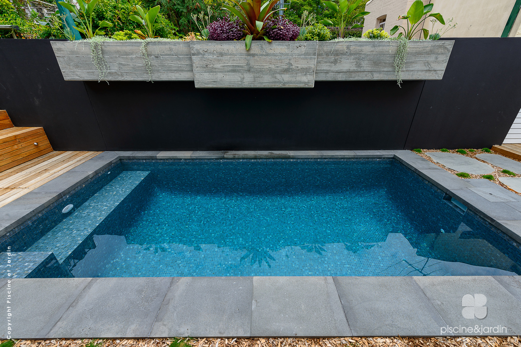 Photo mini piscine carrée dans le Nord - piscine et jardin