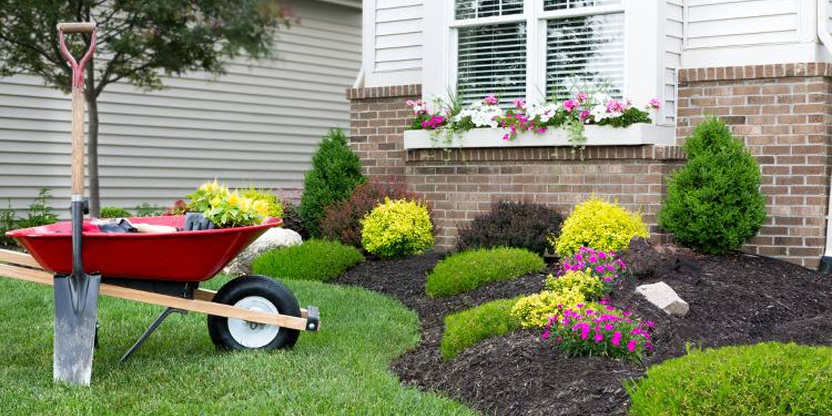 Massif de jardin moderne, nos idées nos conseils